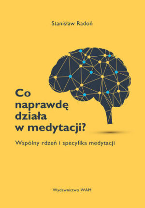 Co naprawdę działa w medytacji?. Wspólny rdzeń i specyfika medytacji