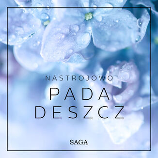 Nastrojowo. Nastrojowo - Pada deszcz