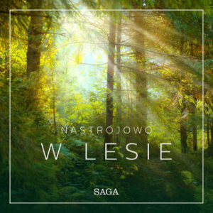 Nastrojowo. Nastrojowo - W lesie