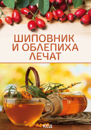 Шиповник и облепиха лечат